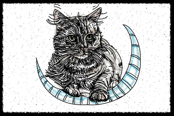 Kot Księżycu Wzgórza Rysują Kopię Prawdziwego — Zdjęcie stockowe