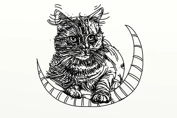 Kočka Měsíci Kopcích Kreslí Výtisk Skutečného — Stock fotografie