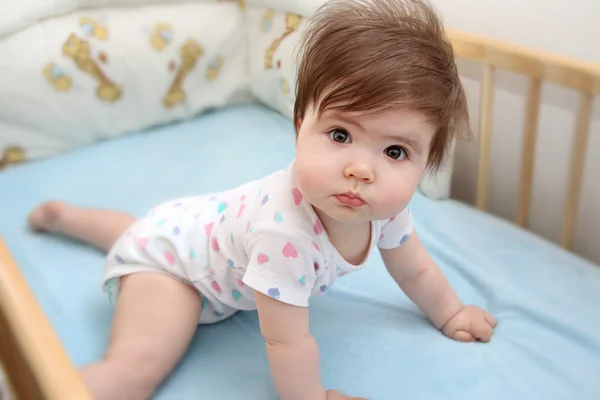 Baby, zvyšování — Stock fotografie