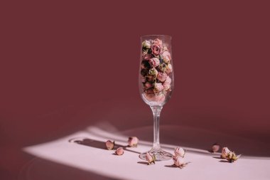 Pink roses in a glass on a pink background on a sunny day