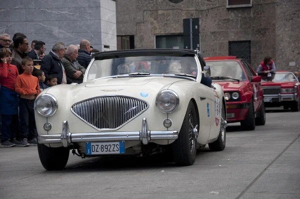 Austin-Healey 100, 1955 postavena — Stock fotografie