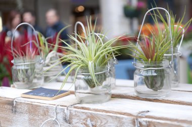 yaratıcı oda çiçekleri kavanoz