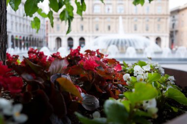 İtalya 'nın Cenova kentindeki De Ferrari Meydanı' ndaki çeşme.