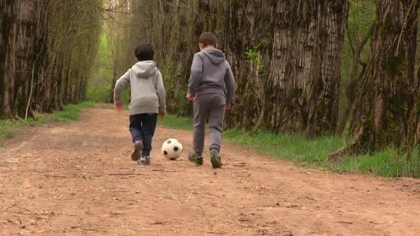 Deux garçons jouant au football — Video