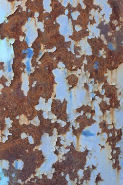 paslı demir çit parçası