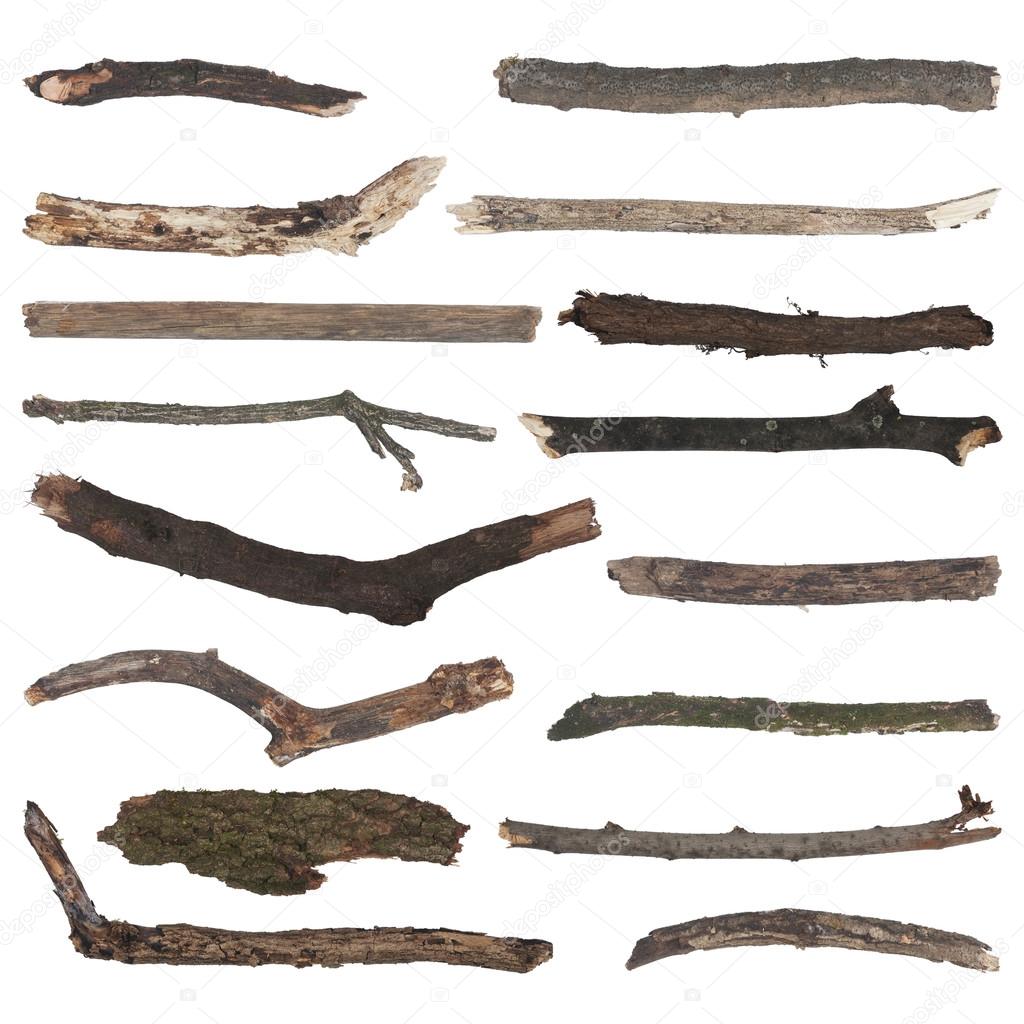 set of old wooden branches
