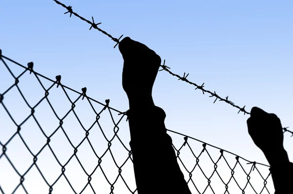 Hands held behind barbed wire — Stock Photo, Image