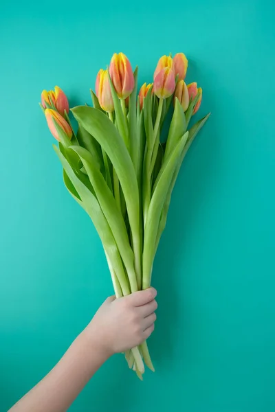 Children\'s hand holds a bouquet of tulips, a gift for mom. Concept of international women\'s day, mother\'s day, Easter. Trend hole