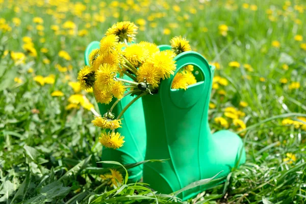 Hallo Zomerconcept Groene Rubberen Laarzen Met Gele Bloemen Groene Weide — Stockfoto