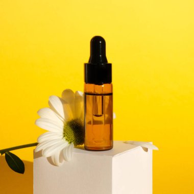 Roma papatyası, sarı arka planda pipetli ve papatyalı cam bir şişede gerekli yağ.