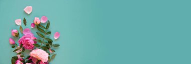 Mavi arka planda pembe çiçeklerle yapılmış yaratıcı bir düzen. Düz yatıyordu. Bahar minimum konsepti.