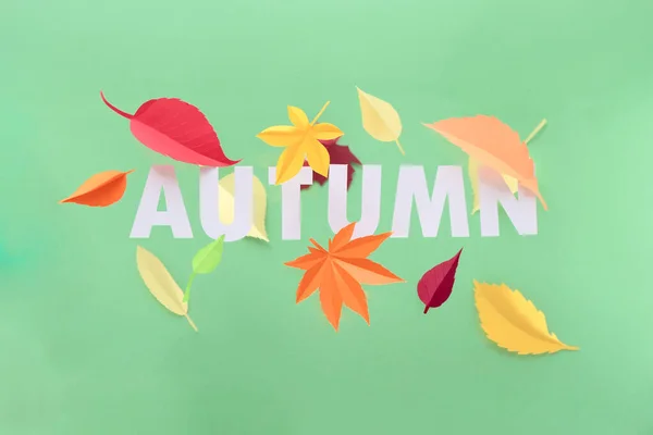 Schrift Herbst Aus Papier Geschnitten Mit Papier Herbstblätter Auf Grünem — Stockfoto