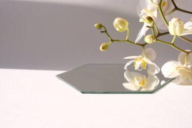 Beyaz orkide ve gölgeli geometrik şekilli beyaz sahne