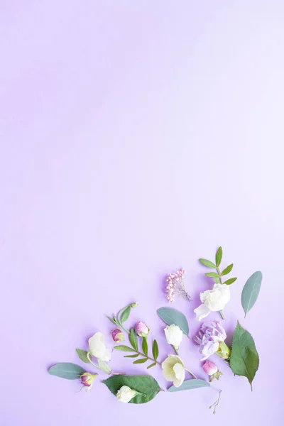 봉오리가 빈티지 꽃봉오리 보라색 배경에 위에서 — 스톡 사진