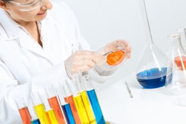  kadın bilim adamı yapma testi