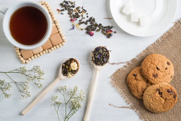 A gyógynövények a gyógynövény tea — Stock Fotó