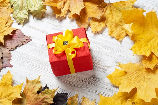 Helle Herbstkomposition mit Geschenkbox — Stockfoto