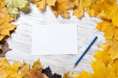 Masanın üzerinde beyaz kağıt ve kalem var.