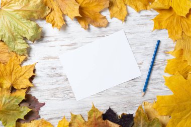 Masanın üzerinde beyaz kağıt ve kalem var.