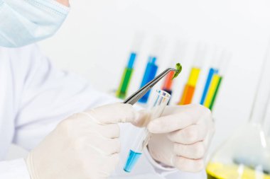 Bilim adamı numuneyi test tüpüne koydu