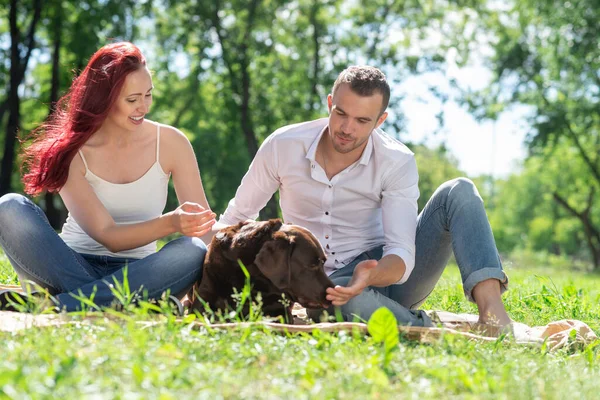 Pareja con un perro en el parque —  Fotos de Stock