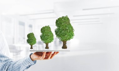 Ağaç tarafından çalışma mekanizması veya motor olarak sunulan eko yeşil çevre kavramı