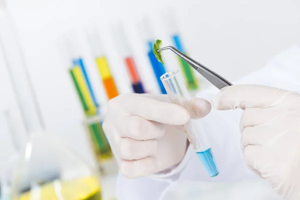 Scientist puts sample into test tube — Stock Photo, Image
