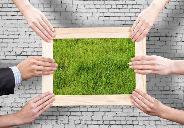 Frame met gras — Stockfoto