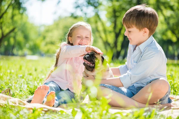 Barn i parken med sällskapsdjur — Stockfoto