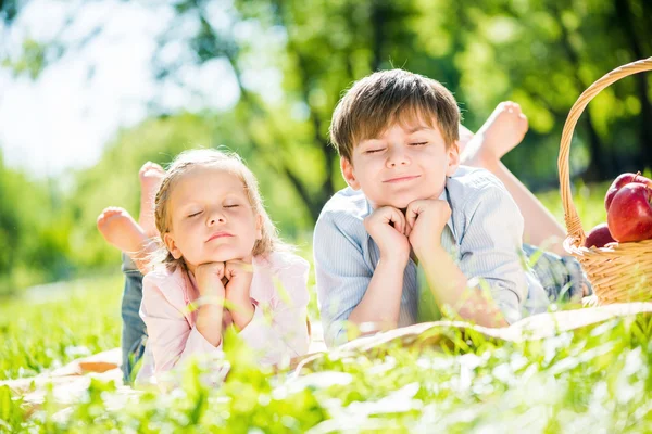 Kinder beim Picknick — Stockfoto