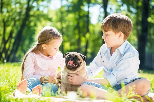 Children in park with pet — Stock Photo, Image