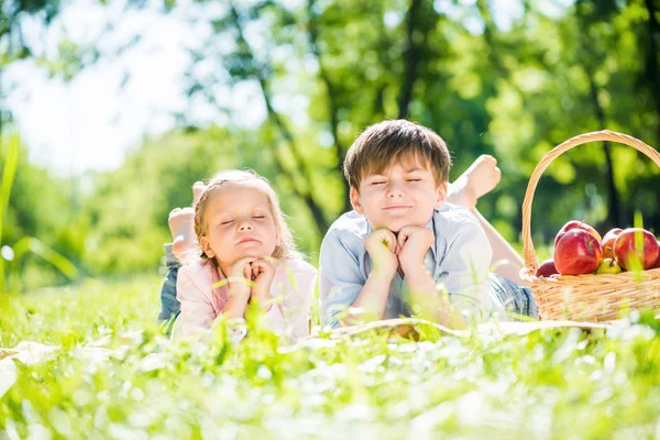 Dzieci na piknik — Zdjęcie stockowe