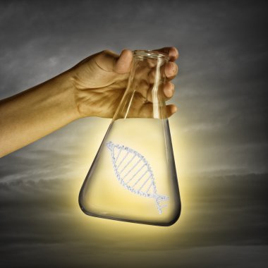 DNA molekülü
