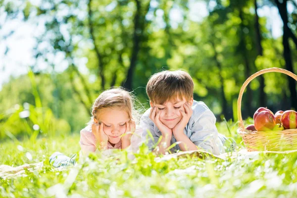 Anak-anak di piknik — Stok Foto