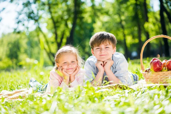 Niños en el picnic — Foto de Stock