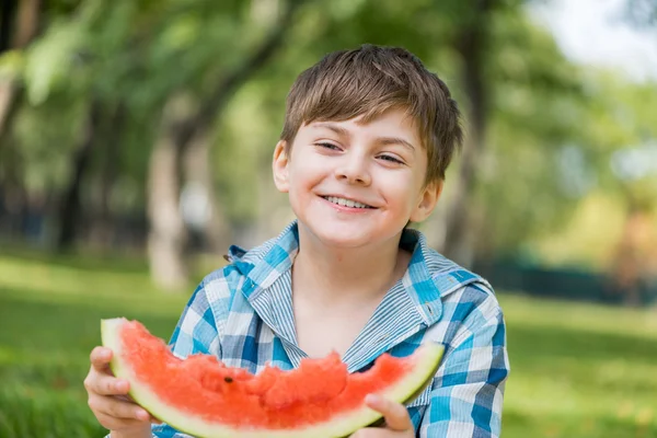 Picnic en el parque — Foto de Stock