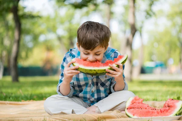 Picnic in park — Stock Photo, Image