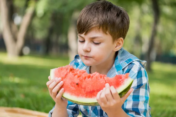 Picknick i parken — Stockfoto