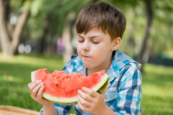 Picknick i parken — Stockfoto