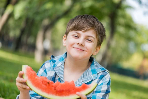 Picnic in park — Stock Photo, Image