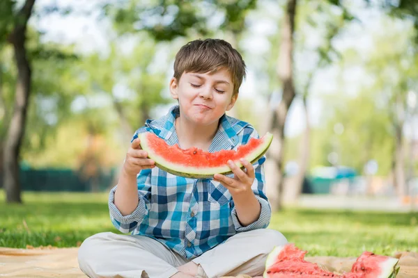 Picknick im Park — Stockfoto