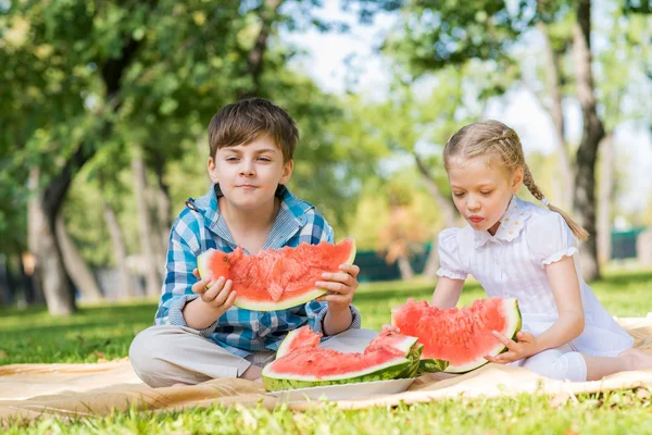 Parkta piknik — Stok fotoğraf