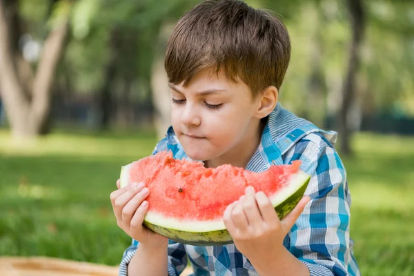 Picknick i parken — Stockfoto