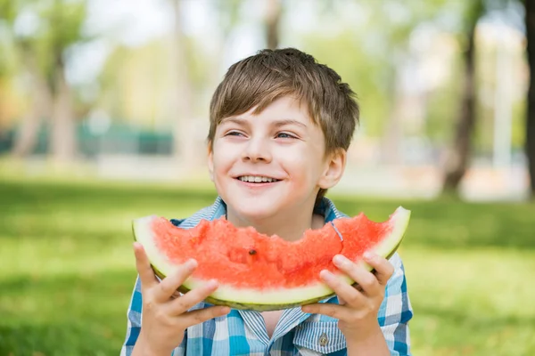 Picknick i parken — Stockfoto