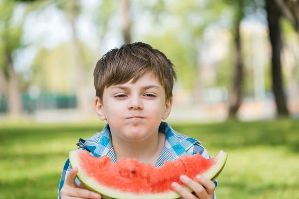 Picknick i parken — Stockfoto