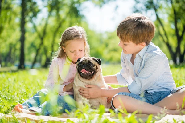 Children in park with pet — Stock Photo, Image