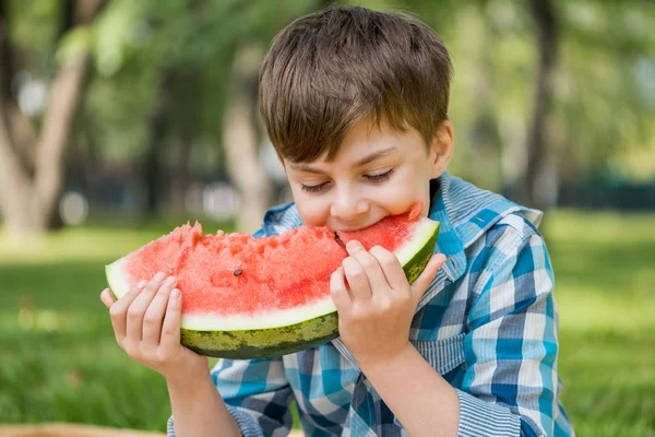 Picknick i parken — Stockfoto