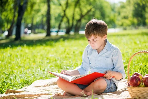 Boy in summer park — Stock Photo, Image