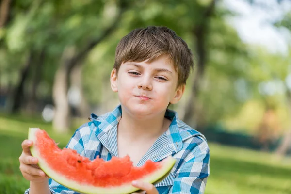 Picnic in park — Stock Photo, Image