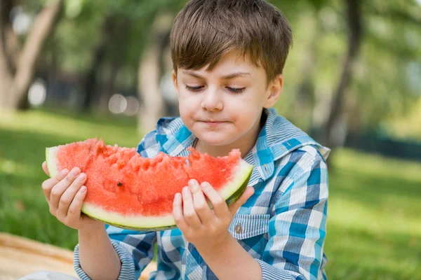 Picknick i parken — Stockfoto